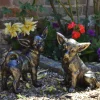 Statues & Sculptures Dogs^Chihuahua Dogs Bronze Metal Garden Ornaments