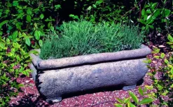 Statues & Sculptures Troughs^Continental Plant Trough 33cm Stone Garden Planter