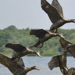 Statues & Sculptures Ducks^Flight of Ducks Life-Size Bronze Metal Garden Statue