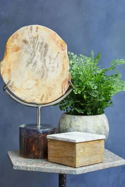 Statues & Sculptures Table Top|Abstract^Forest Fusion 38cm Wood Indoor Sculpture