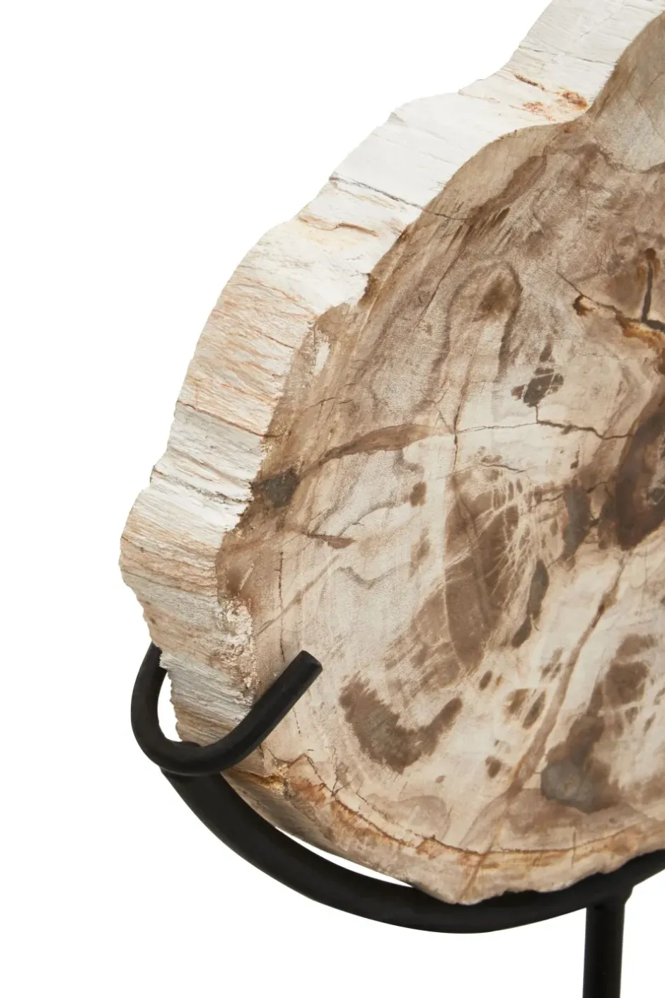 Statues & Sculptures Table Top|Abstract^Forest Fusion 50cm Wood Indoor Sculpture