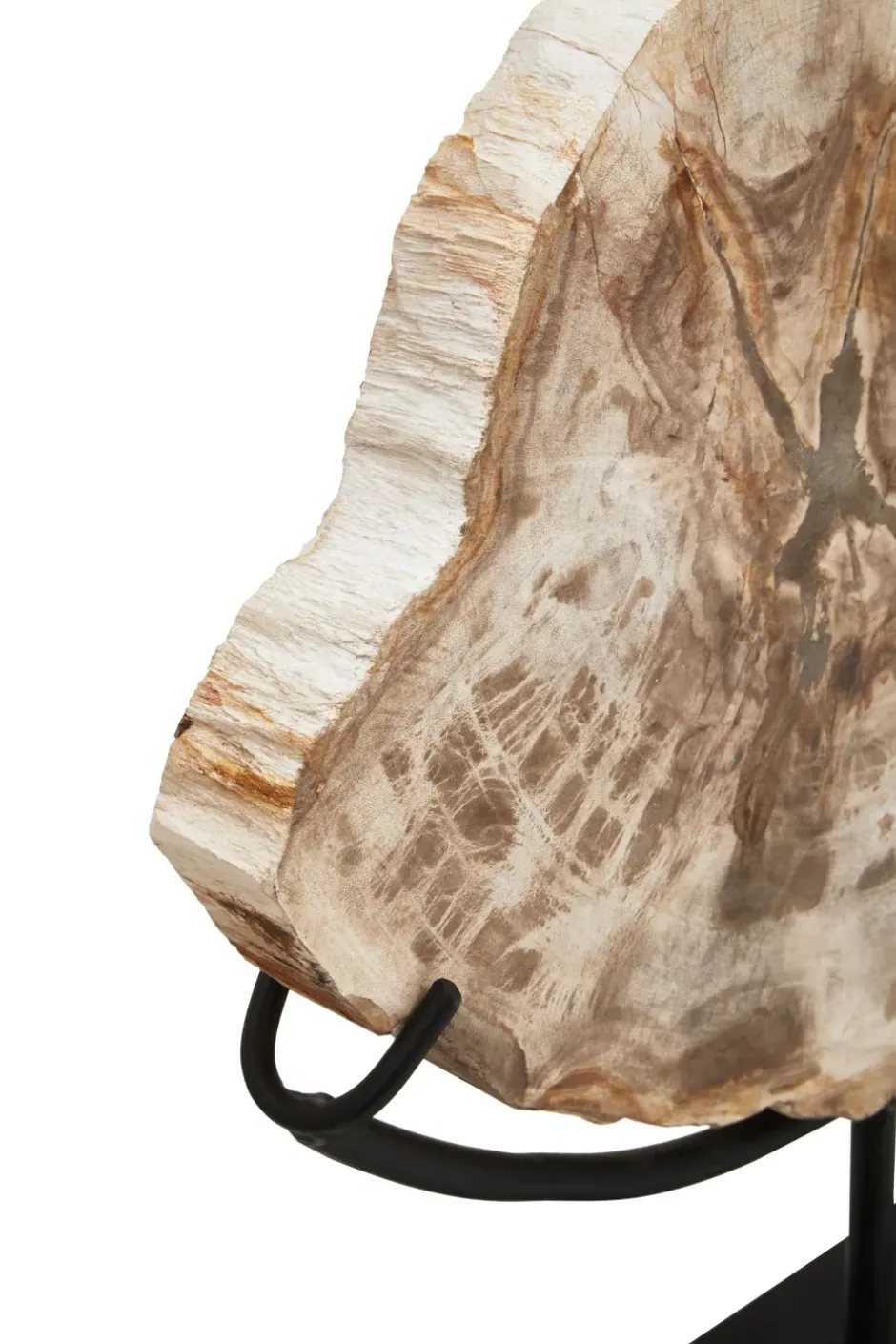 Statues & Sculptures Table Top|Abstract^Forest Fusion 50cm Wood Indoor Sculpture