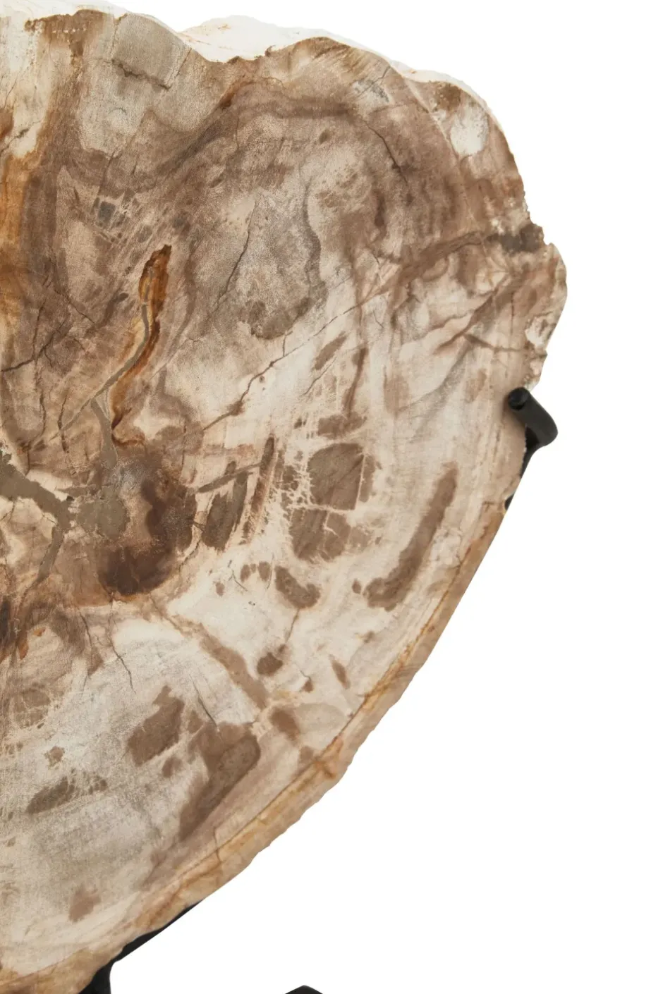 Statues & Sculptures Table Top|Abstract^Forest Fusion 50cm Wood Indoor Sculpture