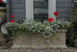 Statues & Sculptures Troughs|Large^Grand Athena Trough Stone Garden Planter