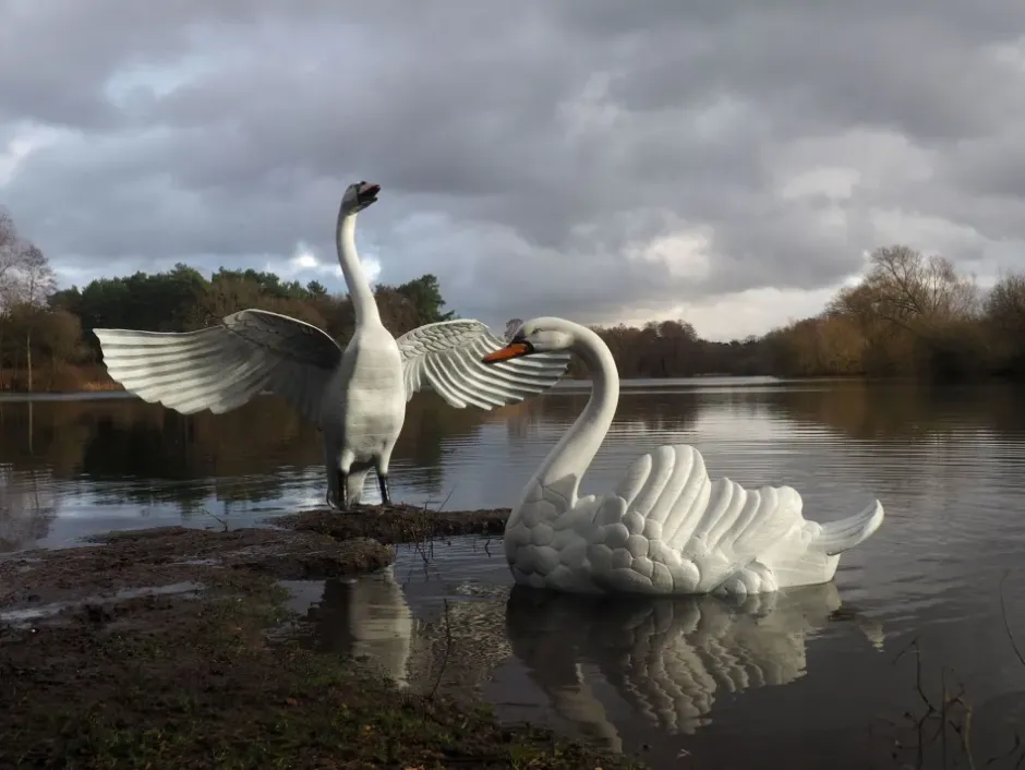 Statues & Sculptures Swans^Grand Pair of Swans Antique White Metal Garden Statues