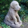Statues & Sculptures Dogs^Great Dane Puppy Stone Garden Ornament