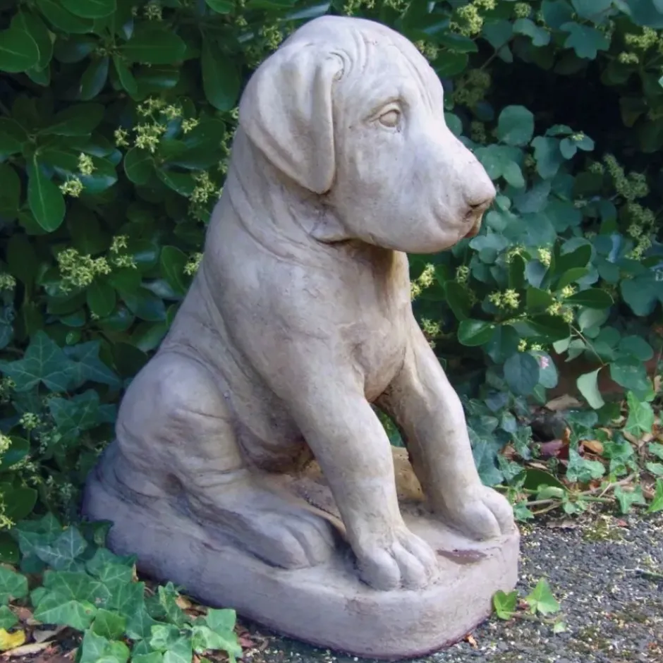 Statues & Sculptures Dogs^Great Dane Puppy Stone Garden Ornament
