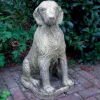 Statues & Sculptures Dogs^Irish Setter Stone Garden Statue
