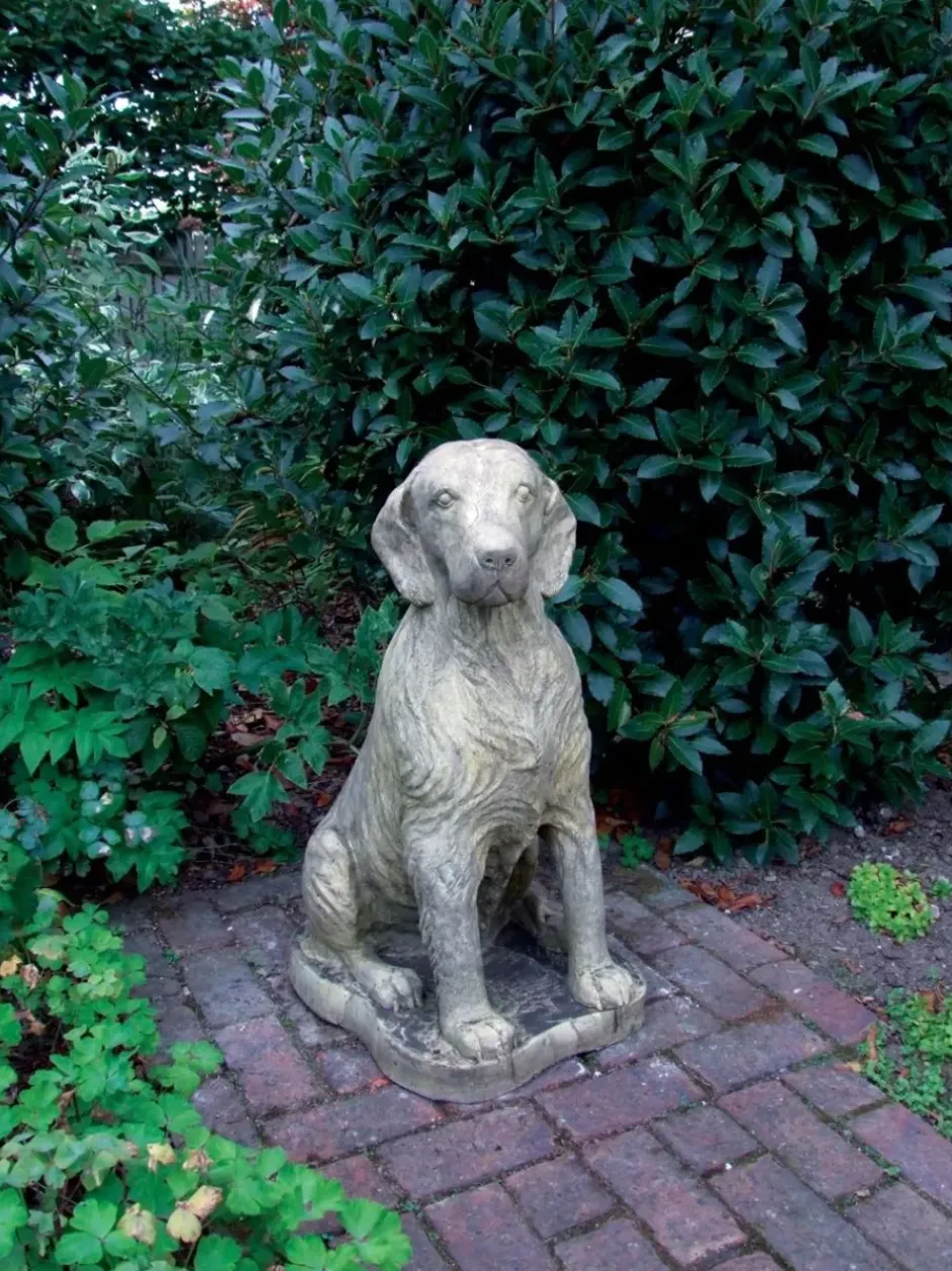 Statues & Sculptures Dogs^Irish Setter Stone Garden Statue