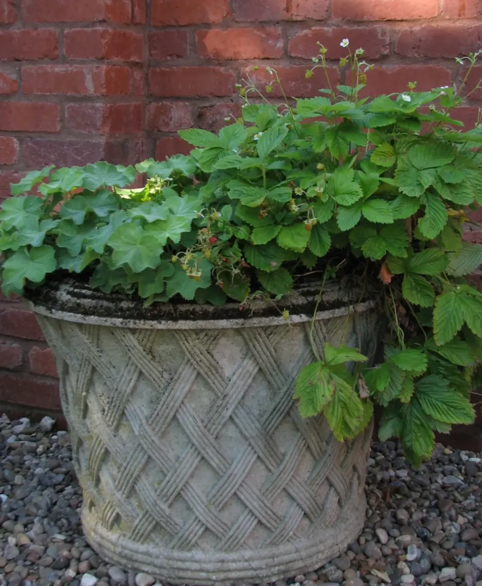 Statues & Sculptures Large|Round^Jardinier Basket Weave 40cm Stone Garden Planter