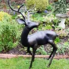 Statues & Sculptures Stags & Deers^Majestic Deer Bronze Metal Garden Statue