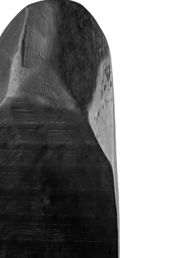 Statues & Sculptures Table Top|Abstract^Obsidian Essence 70cm Black Wood Indoor Sculpture
