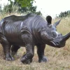 Statues & Sculptures Wildlife^Rhino Bronze Metal Garden Statue