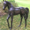 Statues & Sculptures Horses^Standing Foal Bronze Metal Garden Statue
