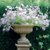 Statues & Sculptures Large|Round^Victorian Medium Stone Garden Planter