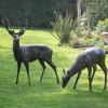 Statues & Sculptures Stags & Deers^Wild Stag & Doe Life-Size Bronze Garden Statues